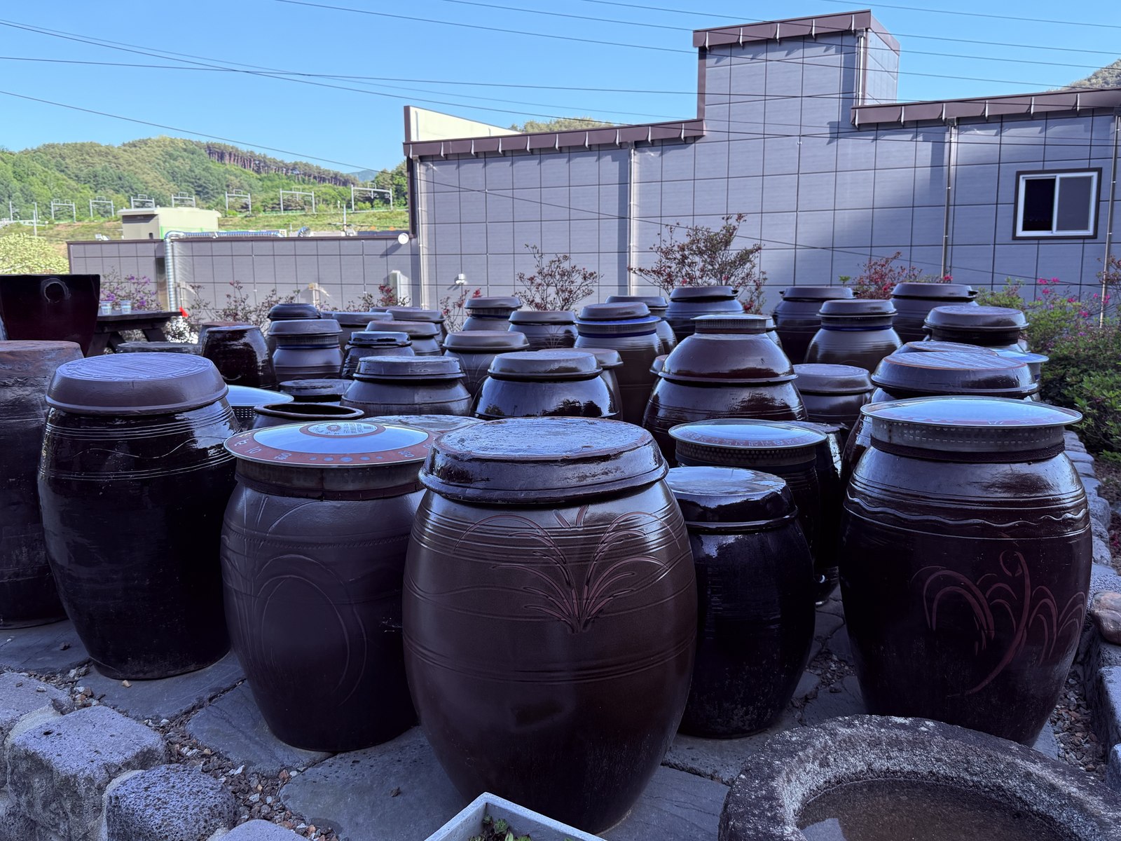 The actual jangdokdae behind Eondeokwie Jangdokdae - dozens of dark brown ceramic onggi crocks lined up on a stone platform, mountain trees and blue sky in the background