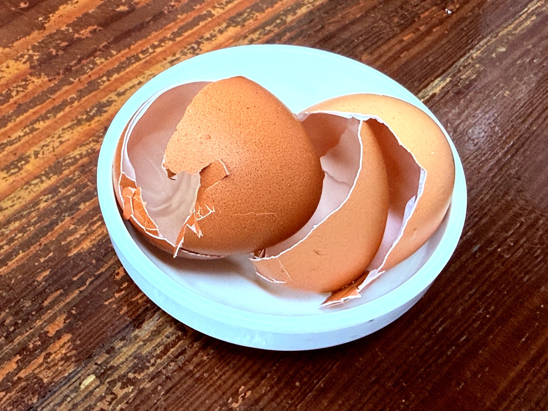 Empty egg shells on the table