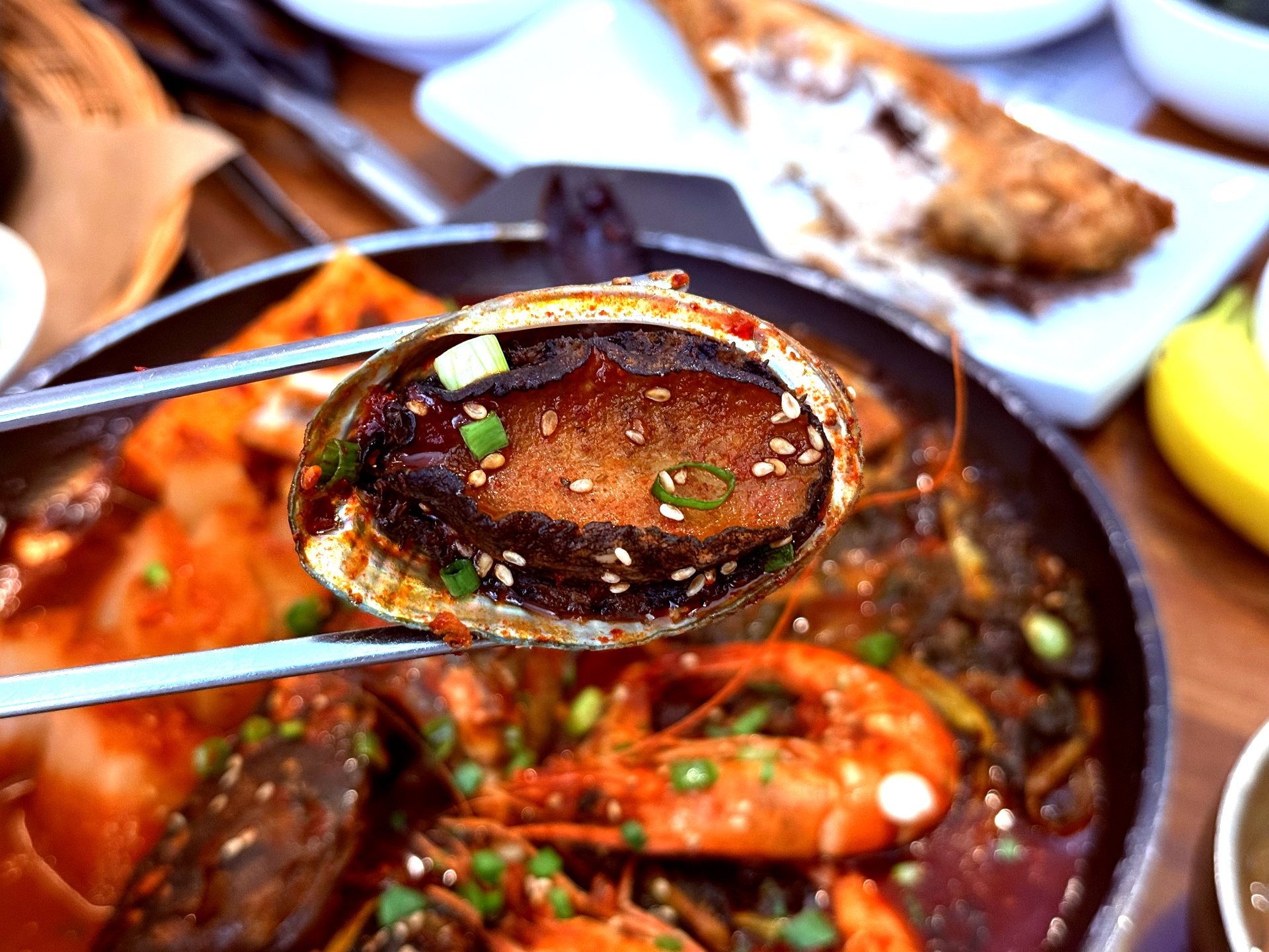 Abalone close-up on chopsticks