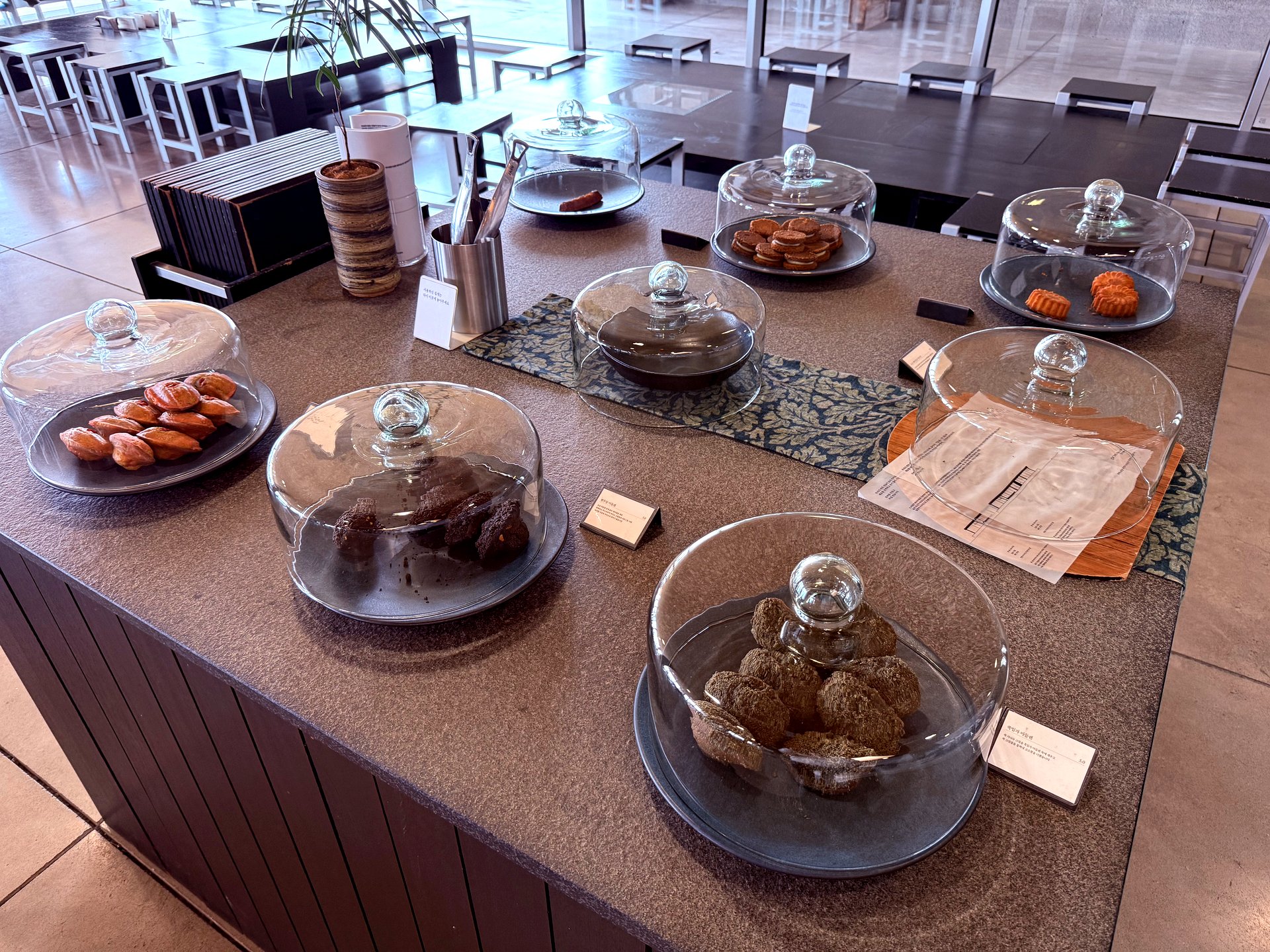 Pastry counter with madeleines, scones, cookies under glass
